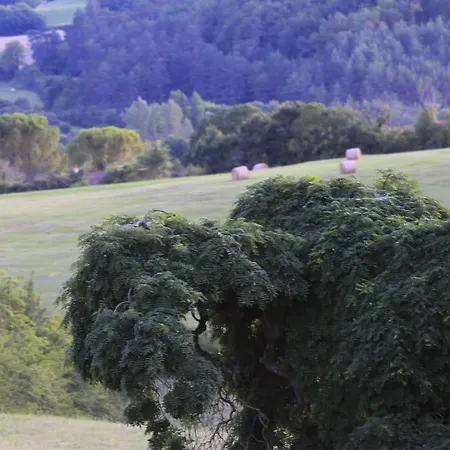 Le Cause * Montagnac-la-Crempse